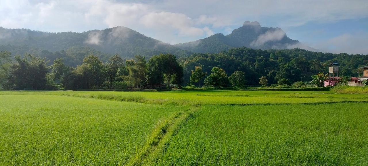 Pimpisa Garden พิมพิศา การ์เด้นท์ Villa Khuang Kom Kültér fotó