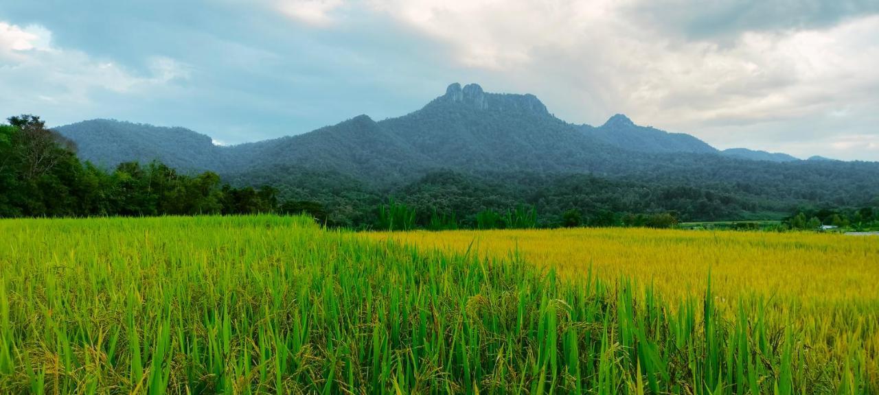 Pimpisa Garden พิมพิศา การ์เด้นท์ Villa Khuang Kom Kültér fotó